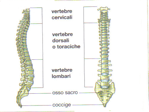 prevenzione colonna vertebrale prevention spine